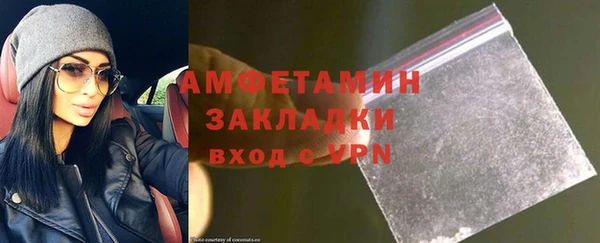 прущие грибы Лабытнанги