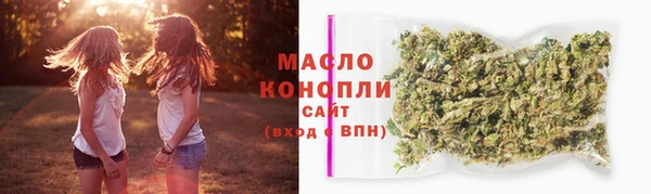 прущие грибы Лабытнанги