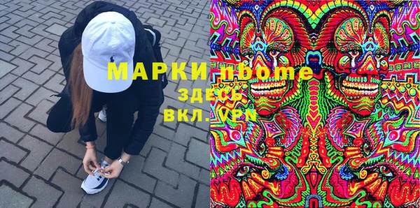 хмурый Липки