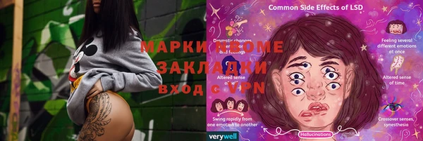 прущие грибы Лабытнанги