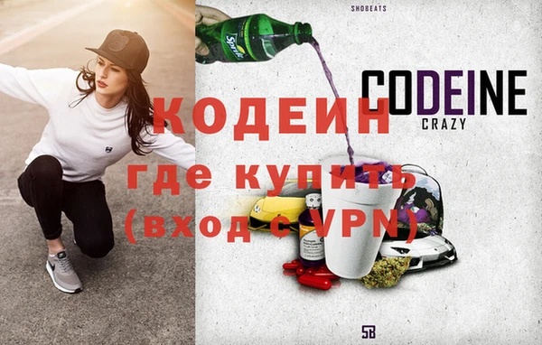 прущие грибы Лабытнанги