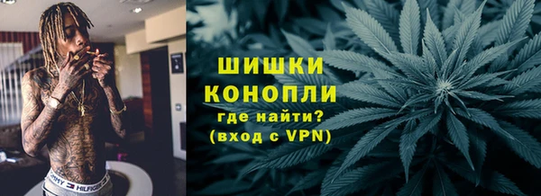 прущие грибы Лабытнанги