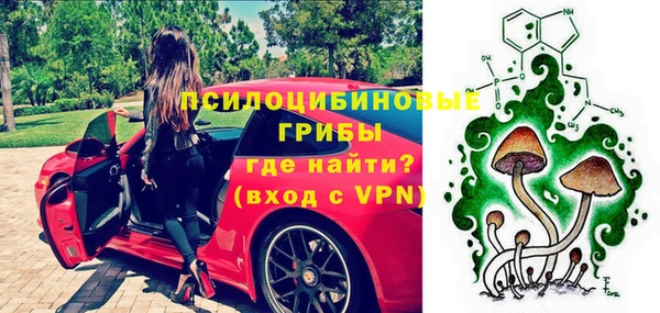 хмурый Липки