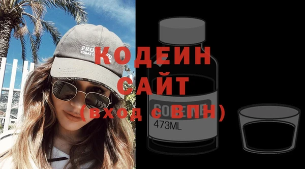 прущие грибы Лабытнанги