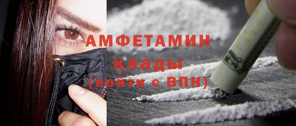 прущие грибы Лабытнанги