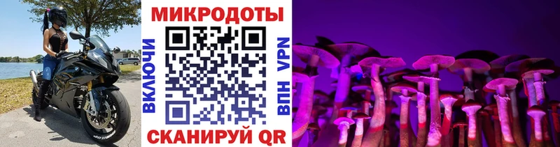 omg вход  Озёры  Псилоцибиновые грибы Magic Shrooms  купить наркотики сайты 
