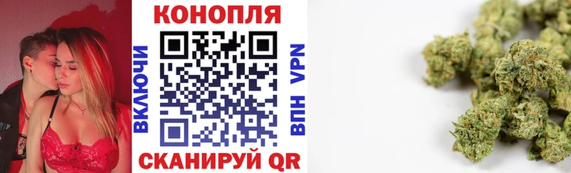 Бошки Шишки гибрид Озёры